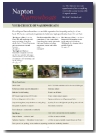 Narrowboat Fleets